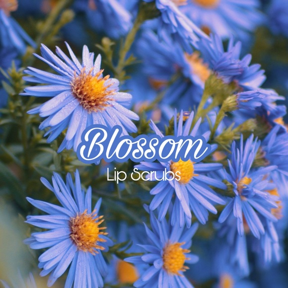 Any Flavor Lip Scrubs! Half Order! - Picture 1 of 1